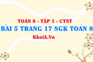 Bài 5 trang 17 SGK Toán 8 Tập 1 Chân trời sáng tạo
